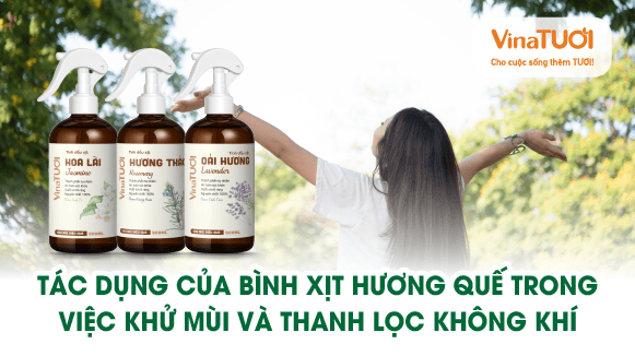 Tác dụng của bình xịt hương quế trong việc khử mùi và thanh lọc không khí
