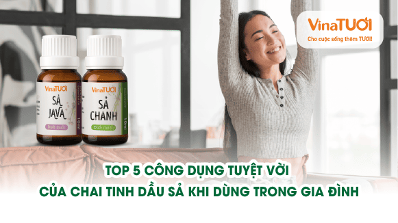 Top 5 công dụng tuyệt vời của chai tinh dầu sả khi dùng trong gia đình