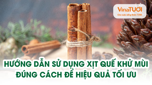 Hướng dẫn sử dụng xịt quế khử mùi đúng cách để hiệu quả tối ưu