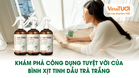 Khám phá công dụng tuyệt vời của bình xịt tinh dầu trà trắng trong không gian sống