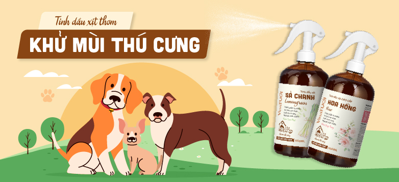 Tinh dầu xịt thơm khử mùi thú cưng