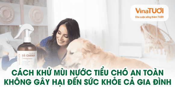 Cách khử mùi nước tiểu chó an toàn, không gây hại đến sức khỏe cả gia đình
