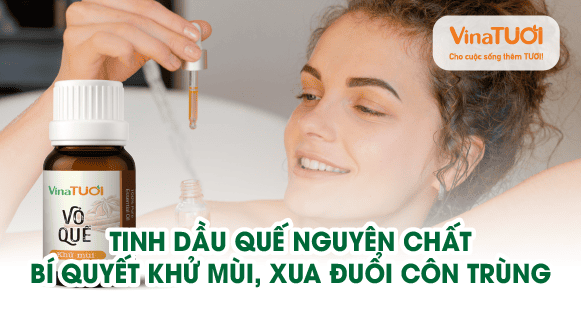 Tinh dầu quế nguyên chất: Bí quyết khử mùi, xua đuổi côn trùng và thư giãn hiệu quả