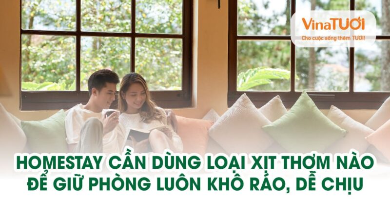 Homestay cần dùng loại xịt thơm nào để giữ phòng luôn khô ráo, dễ chịu