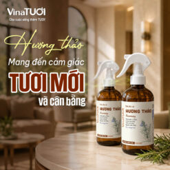 Hương thảo mang đến cảm giác tươi mới và cân bằng