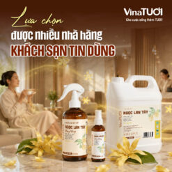 Hoa Ngọc Lan Tây được nhiều Nhà hàng Khách sạn lựa chọn sử dụng