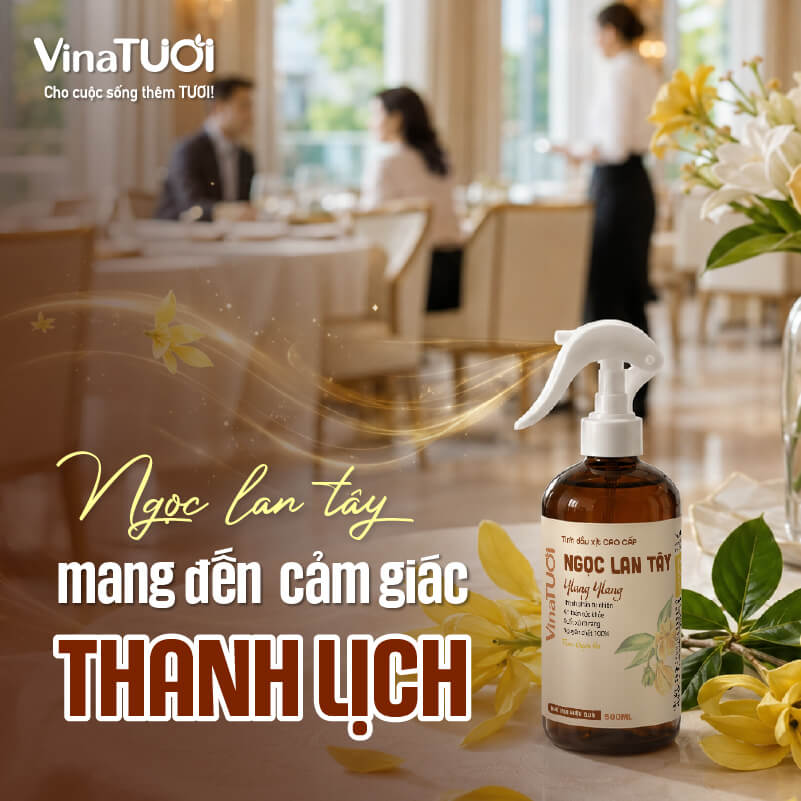 ngoc-lan-tay-mang-den-cam-giac-thu-gian-va-thanh-lich Hoa Ngọc Lan Tây tạo cảm giác thư giãn và sang trọng cho không gian