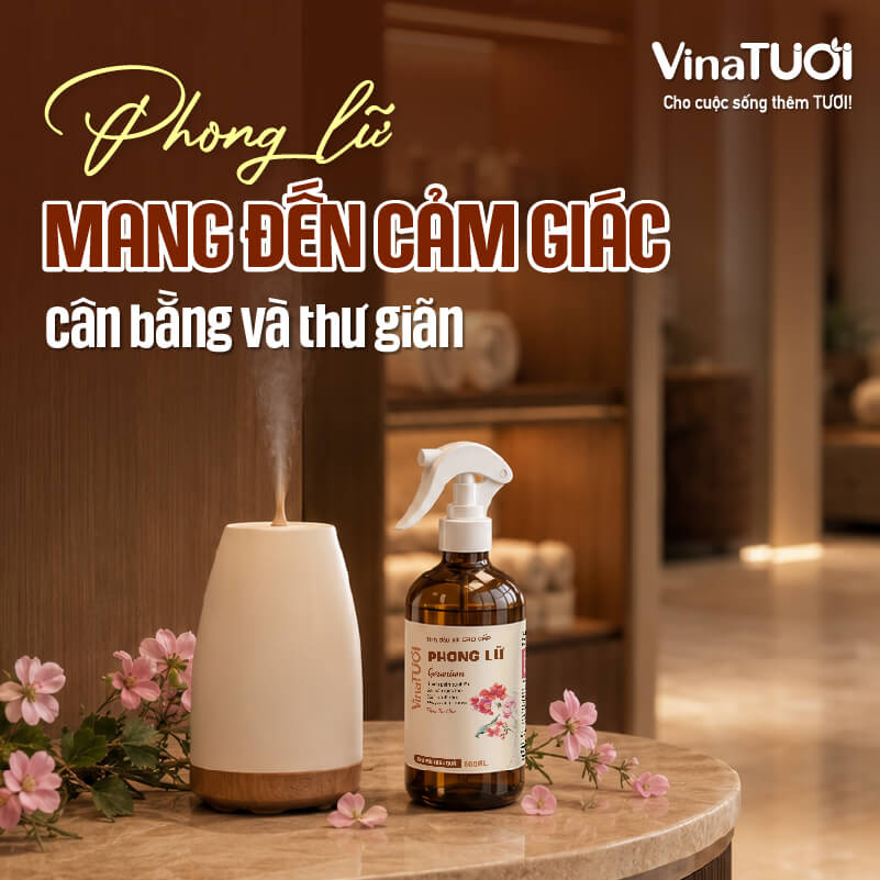 phong-lu-mang-den-cam-giac-can-bang-va-thu-gian Xịt phòng tinh dầu phong lữ tạo cảm giác thư giãn cho không gian dịch vụ