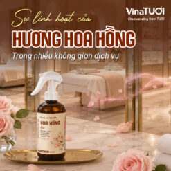 Sự linh hoạt của hương hoa hồng trong nhiều không gian dịch vụ