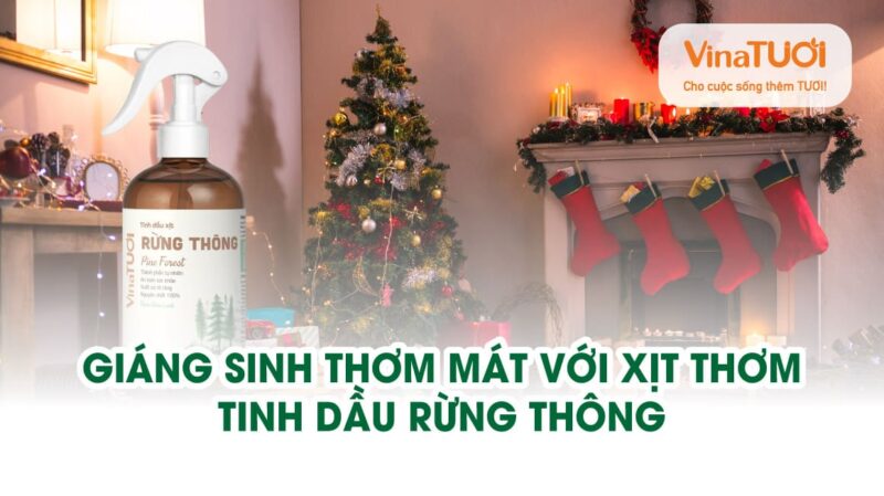 Giáng sinh thơm mát với xịt thơm tinh dầu Rừng Thông