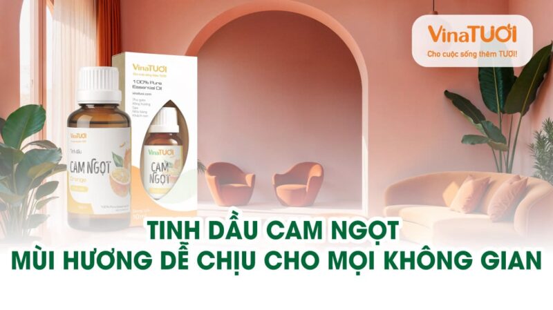Tinh dầu Cam Ngọt – Mùi hương dễ chịu cho mọi không gian