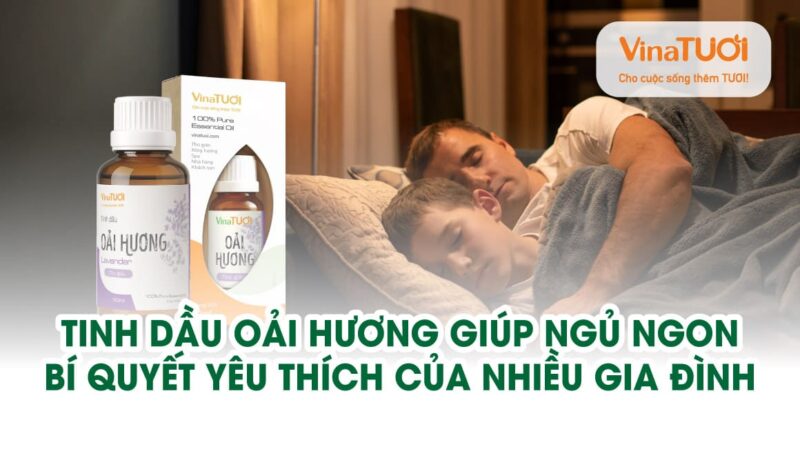 Tinh dầu Oải Hương giúp ngủ ngon – Bí quyết yêu thích của nhiều gia đình