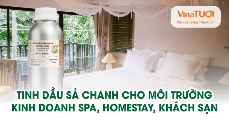 Tinh dầu Sả Chanh cho môi trường kinh doanh: Spa, Homestay, Khách Sạn