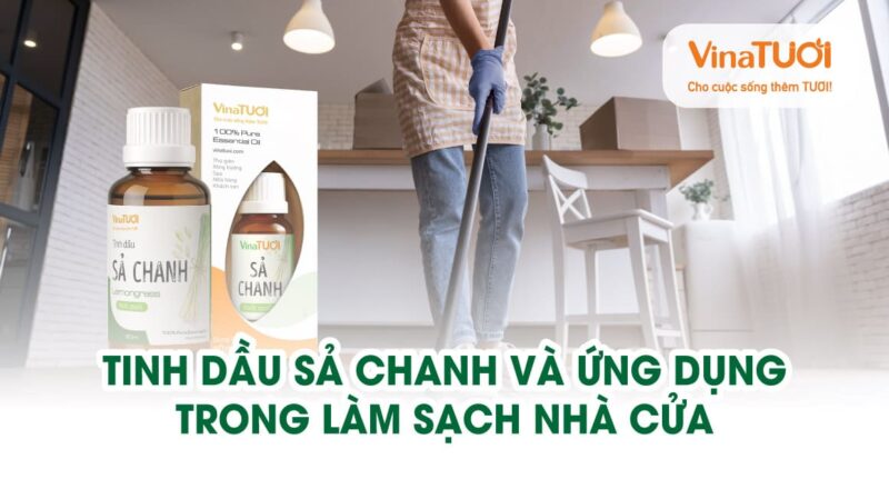 Tinh dầu sả chanh và ứng dụng trong làm sạch nhà cửa