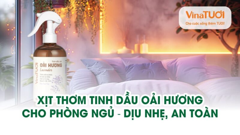 Xịt thơm tinh dầu Oải Hương cho phòng ngủ – Dịu nhẹ, an toàn