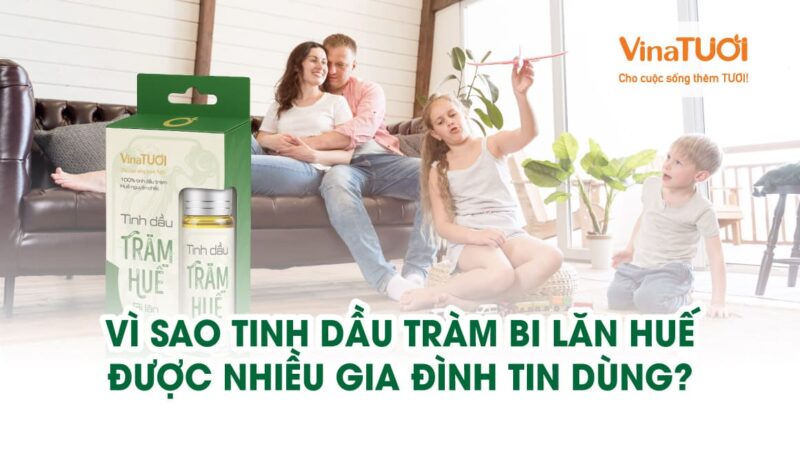 Vì sao tinh dầu Tràm Bi Lăn Huế được nhiều gia đình tin dùng?