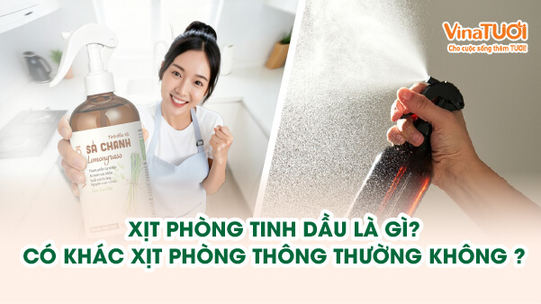 Xịt phòng tinh dầu là gì? Có khác xịt phòng thông thường không?