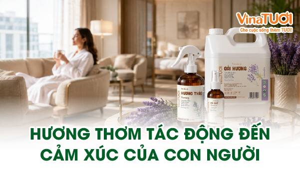 Hương thơm tác động đến cảm xúc con người trong không gian dịch vụ và lưu trú