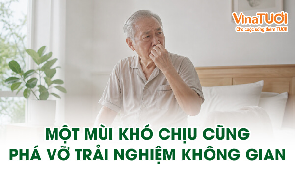 Mùi khó chịu phá vỡ trải nghiệm không gian