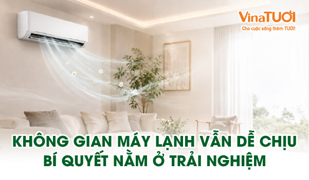 Không gian máy lạnh vẫn dễ chịu bí quyết nằm ở trải nghiệm mùi hương